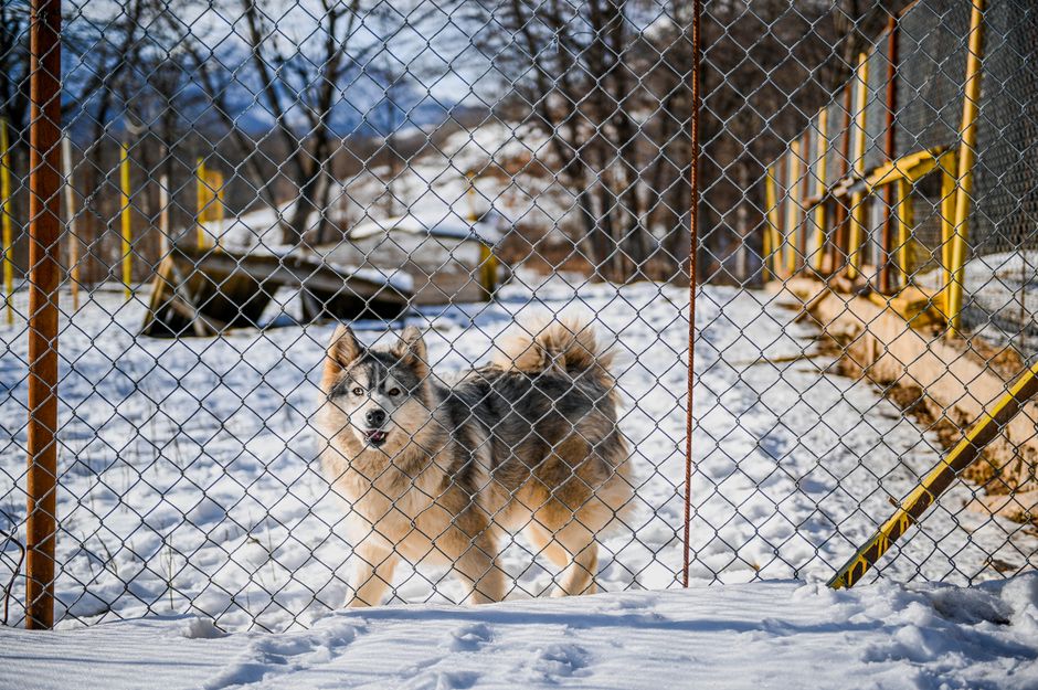 Chain Link Fence Installation Denver