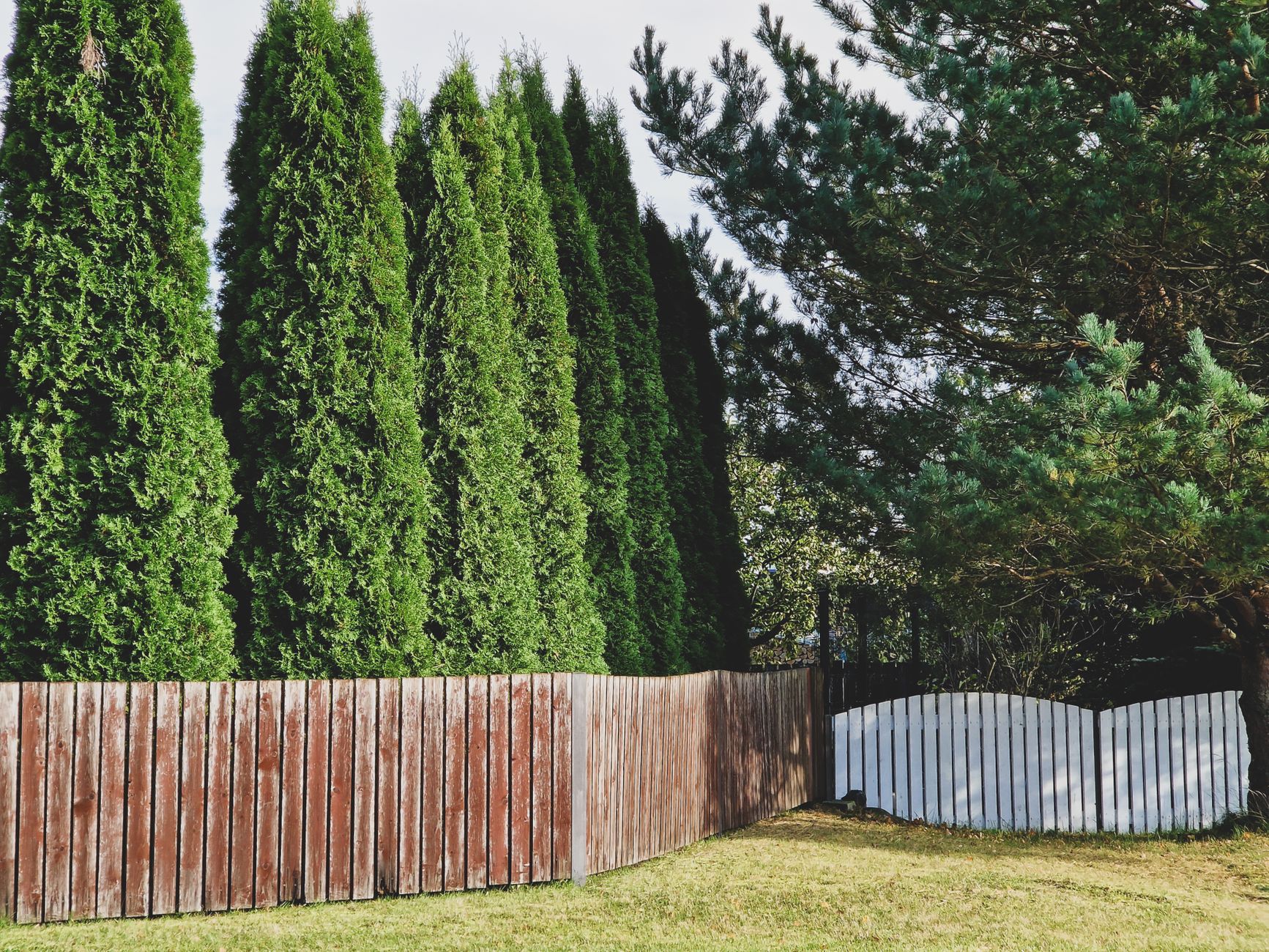 Privacy Fencing Denver Co