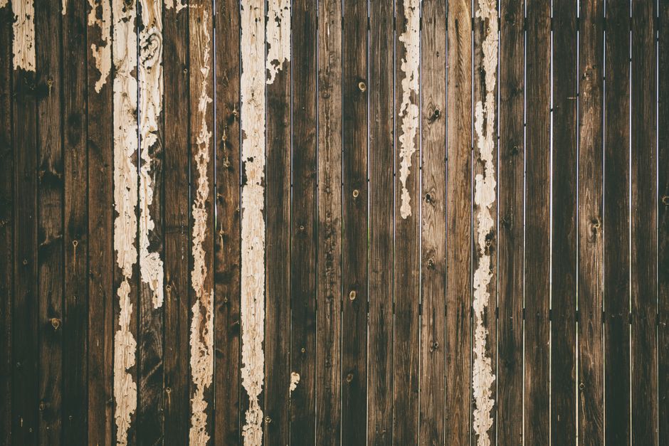 Fence Painting