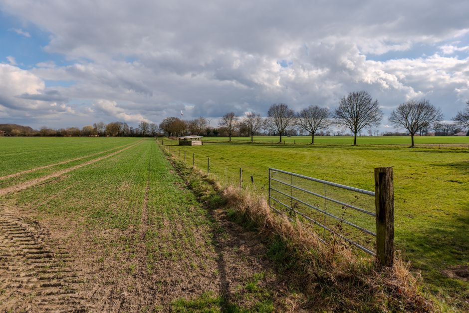 Expertise in Local Conditions