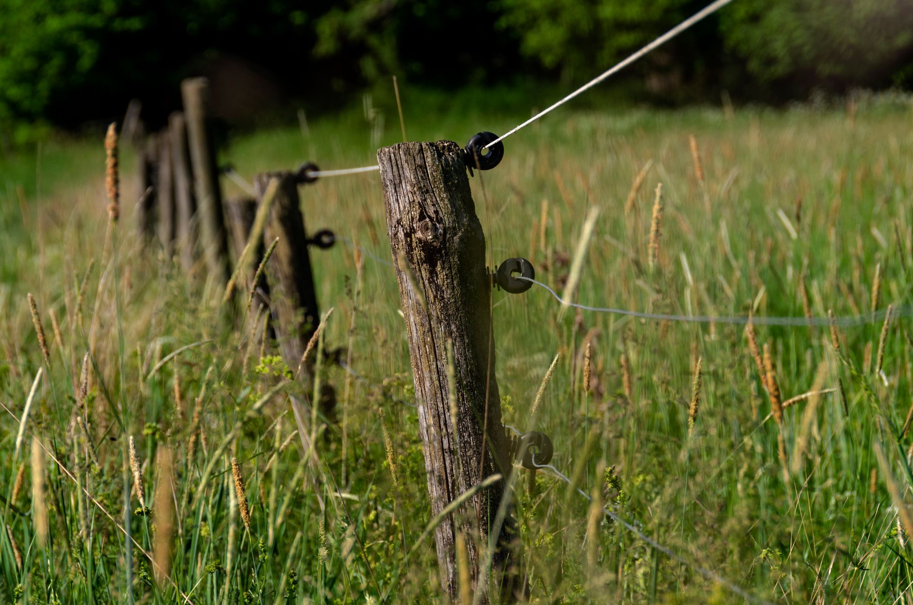Summit Fencing — fencing