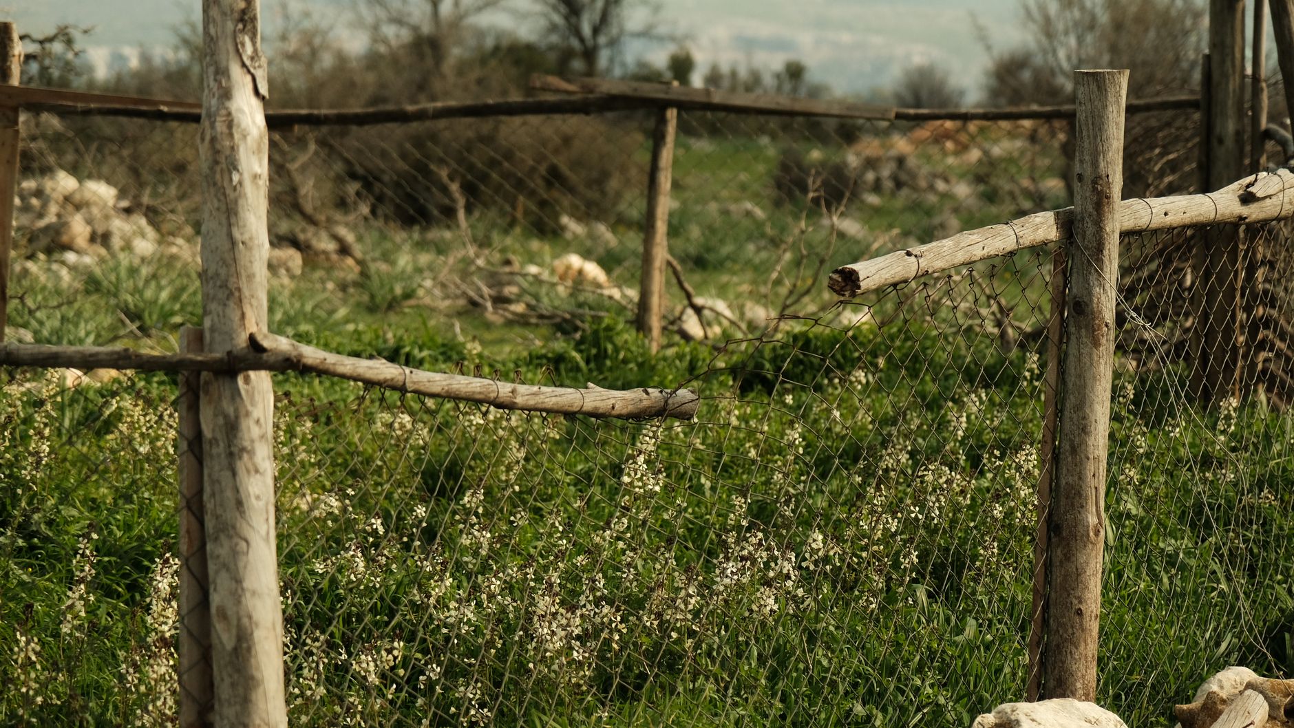 Summit Fencing — fencing
