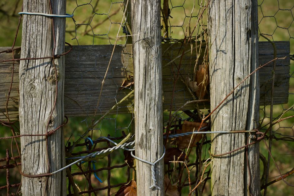 Fence Repair Services