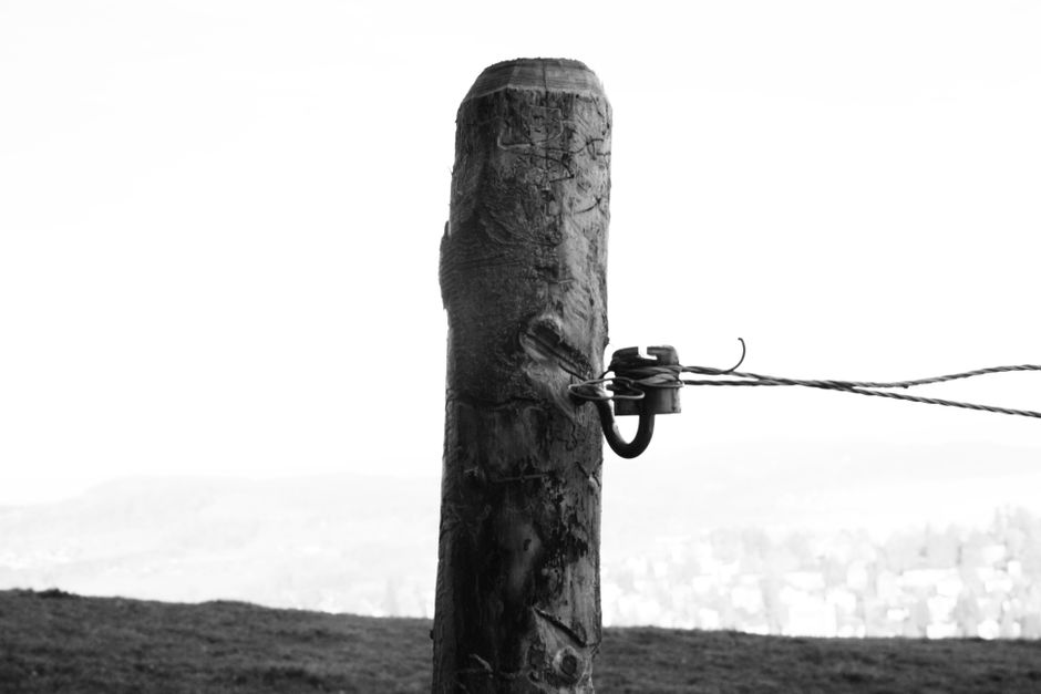 Fence Repair Services Denver